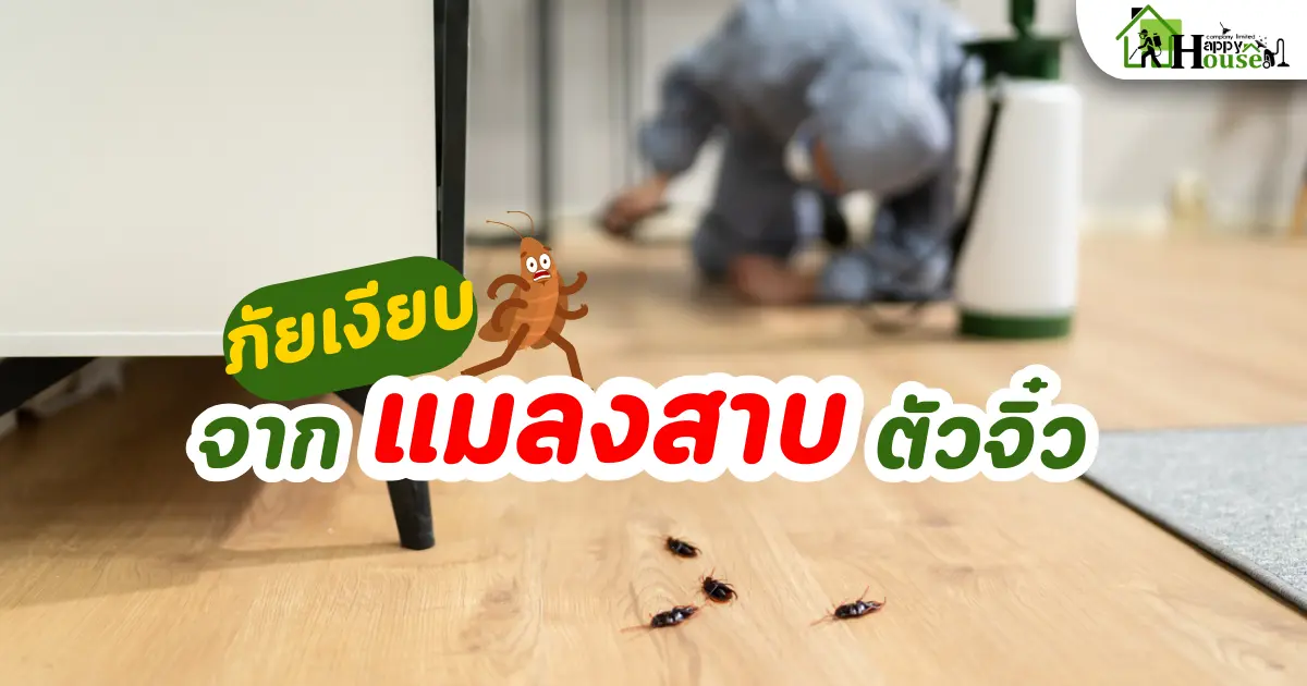 ภัยเงียบจากแมลงสาบตัวจิ๋ว