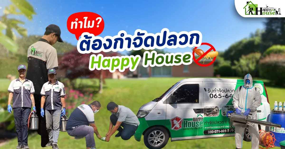ทำไม? ต้องกำจัดปลวกกับ Happy House ทำไม? ต้องกำจัดปลวกกับ Happy House