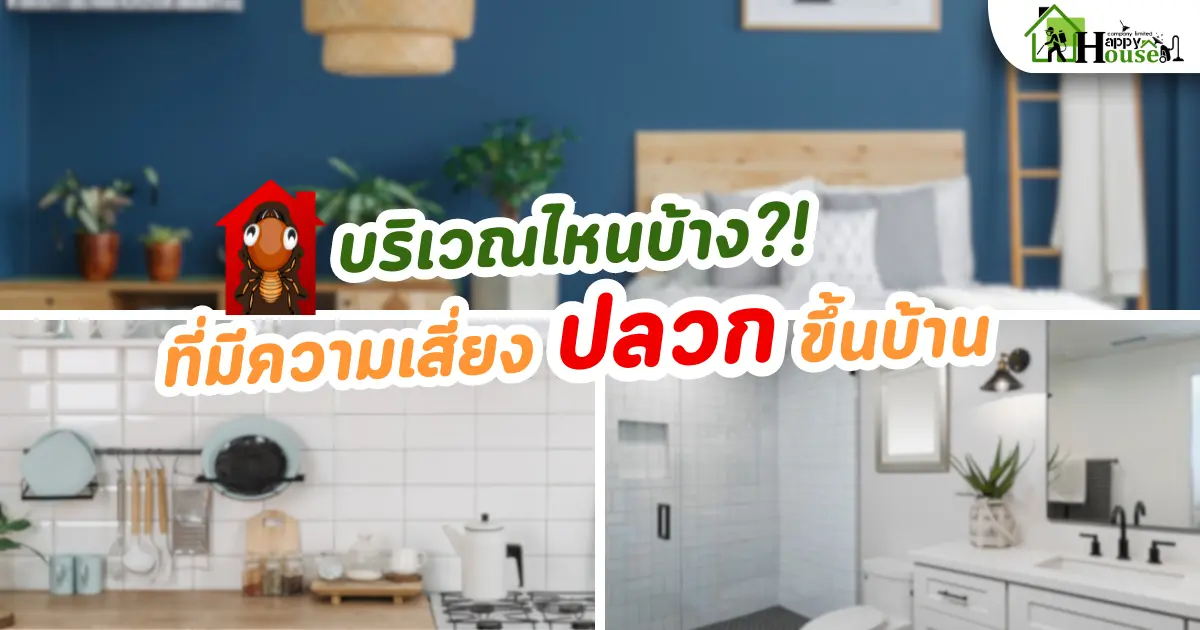 บริเวณไหนบ้าง มีความเสี่ยงปลวกขึ้นบ้าน