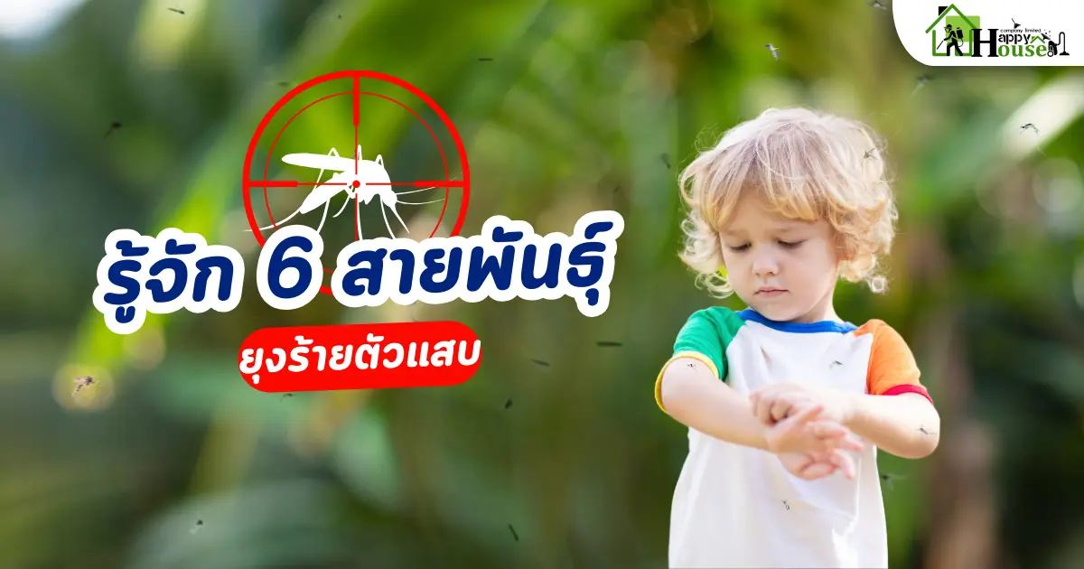 รู้จักยุง 6 สายพันธุ์ 