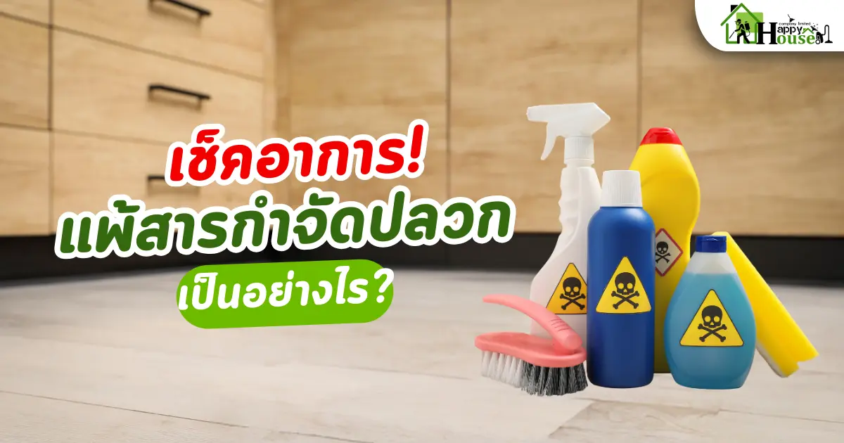 เช็คอาการ แพ้สารกำจัดปลวกเป็นอย่างไร?