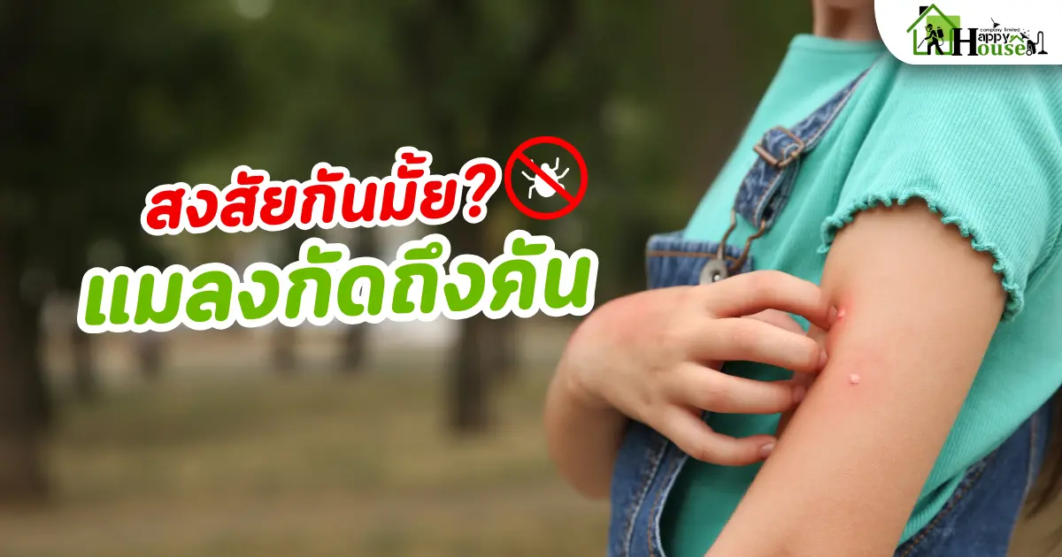 สงสัยกันมั้ย ทำไมแมลงกัดถึงคัน?