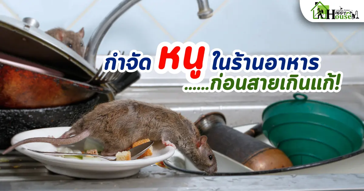 กำจัดหนูในร้านอาหารก่อนสายเกินแก้!  ความสำคัญของการกำจัดหนูและแมลงสาบในร้านอาหาร