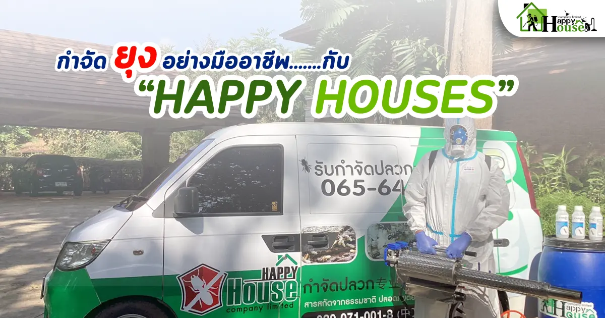กำจัดยุงแบบมืออาชีพ กับ Happy Houses เรียนรู้วิธีการกำจดยุง กำจัดยุงแบบมืออาชีพ กับ Happy Houses เรียนรู้วิธีการกำจดยุง