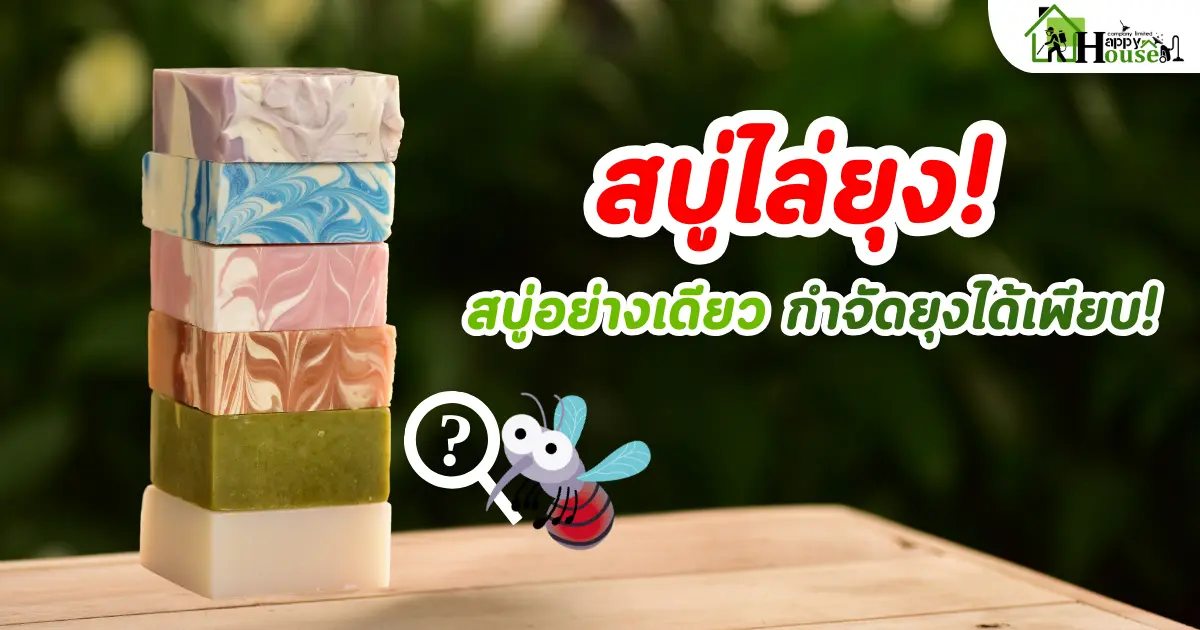 สบู่ไล่ยุง! สบู่อย่างเดียว กำจัดยุงได้เพียบ! สบู่ไล่ยุง! สบู่อย่างเดียว กำจัดยุงได้เพียบ!