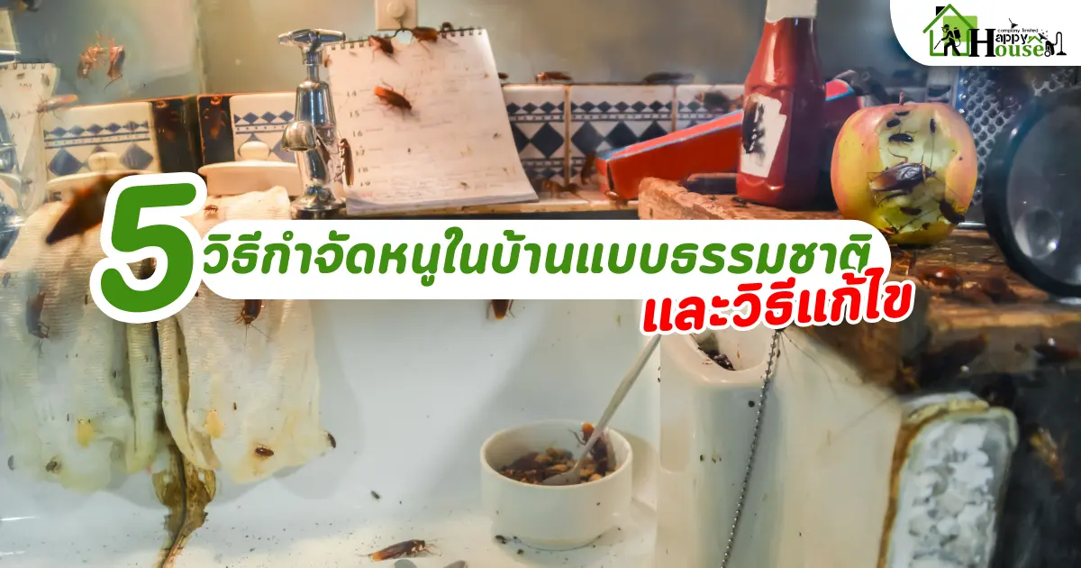 สัญญาณบ่งบอกว่าบ้านของคุณกำลังมีปัญหาแมลงสาบ และวิธีแก้ไข สัญญาณบ่งบอกว่าบ้านของคุณกำลังมีปัญหาแมลงสาบ และวิธีแก้ไข