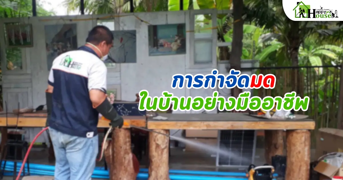 การกำจัดมดในบ้านอย่างมืออาชีพ: เคล็ดลับที่คุณควรรู้ | บริการกำจัดแมลงที่ได้ผล การกำจัดมดในบ้านอย่างมืออาชีพ: เคล็ดลับที่คุณควรรู้ | บริการกำจัดแมลงที่ได้ผล