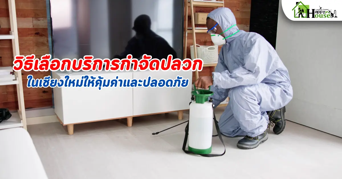 วิธีเลือกบริการกำจัดปลวกในเชียงใหม่ให้คุ้มค่าและปลอดภัย