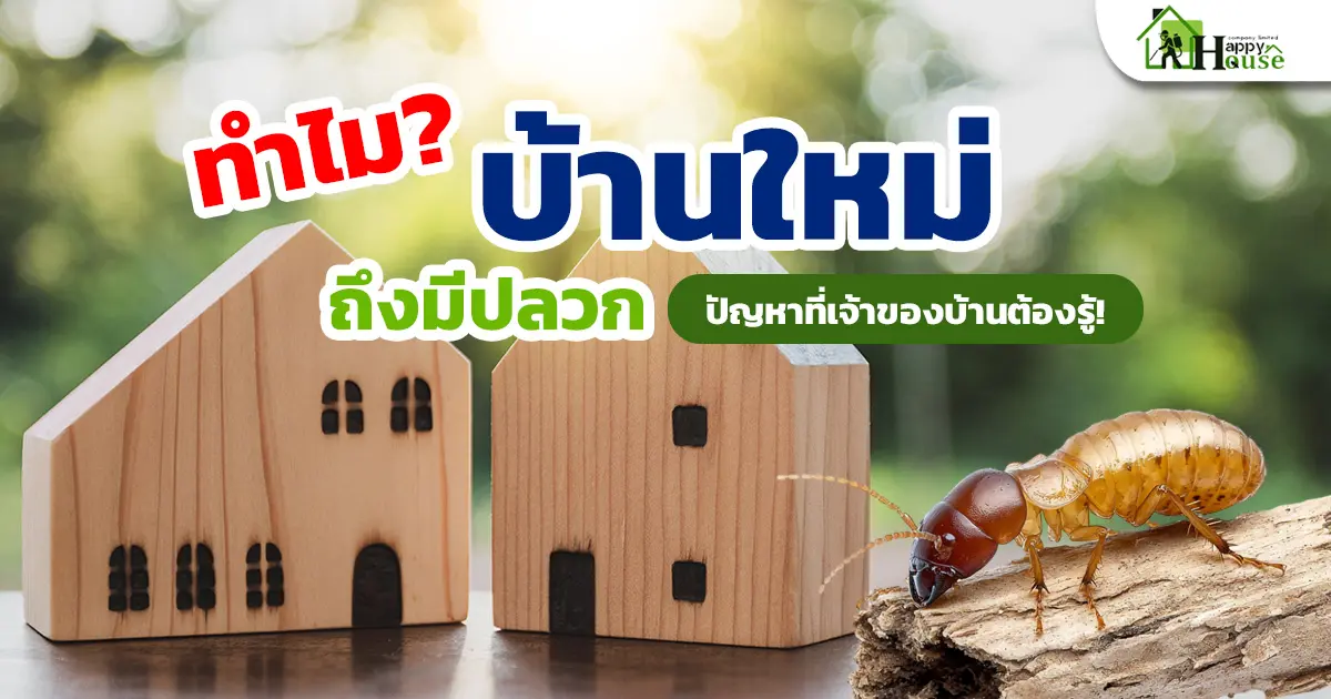 ทำไมบ้านใหม่ถึงมีปลวก ปัญหาที่เจ้าของบ้านต้องรู้ ทำไมบ้านใหม่ถึงมีปลวก ปัญหาที่เจ้าของบ้านต้องรู้