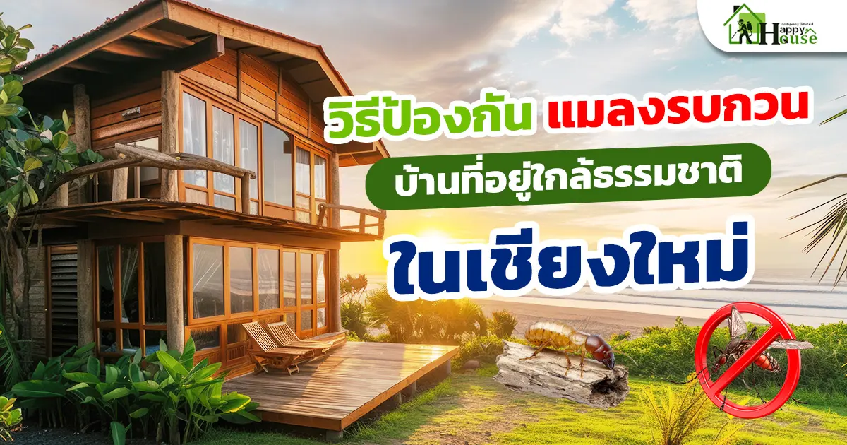 การป้องกันและกำจัดแมลงในบ้านเชียงใหม่ที่อยู่ใกล้ธรรมชาติ