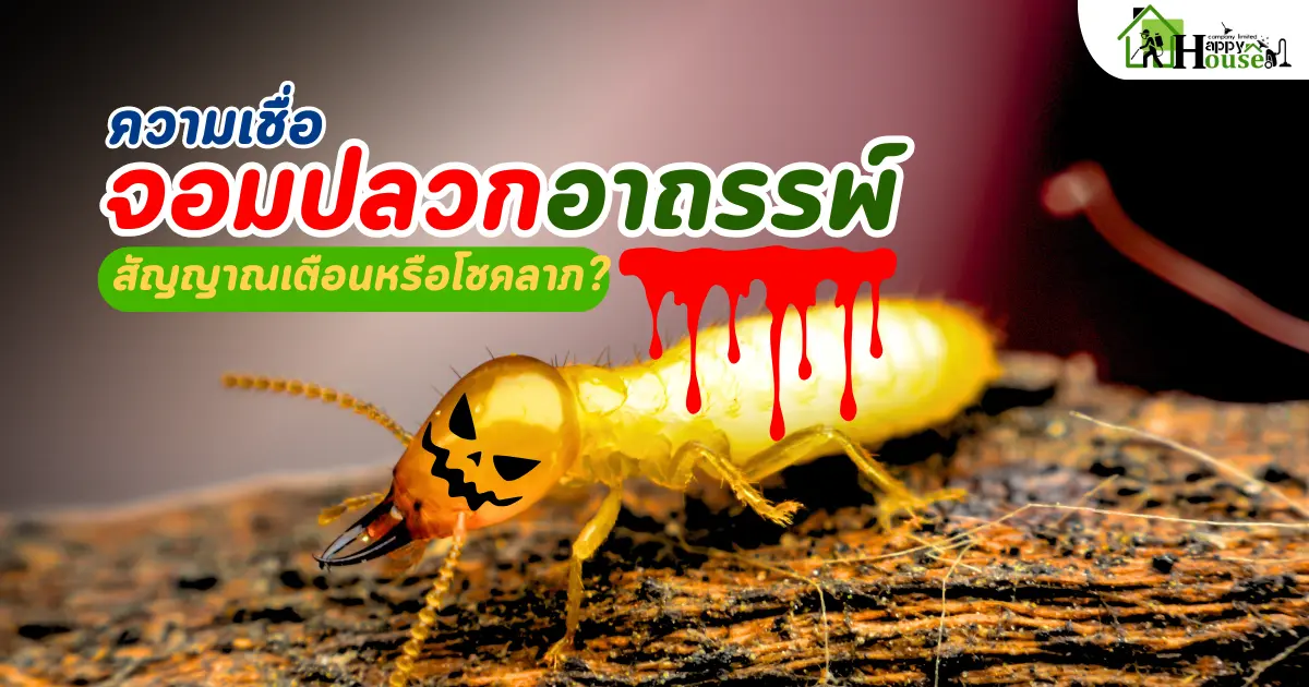 ความเชื่อจอมปลวกอาถรรพ์ สัญญาณเตือนหรือโชคลาภ? พร้อมวิธีกำจัดปลวกที่ถูกต้อง ความเชื่อจอมปลวกอาถรรพ์ สัญญาณเตือนหรือโชคลาภ? พร้อมวิธีกำจัดปลวกที่ถูกต้อง