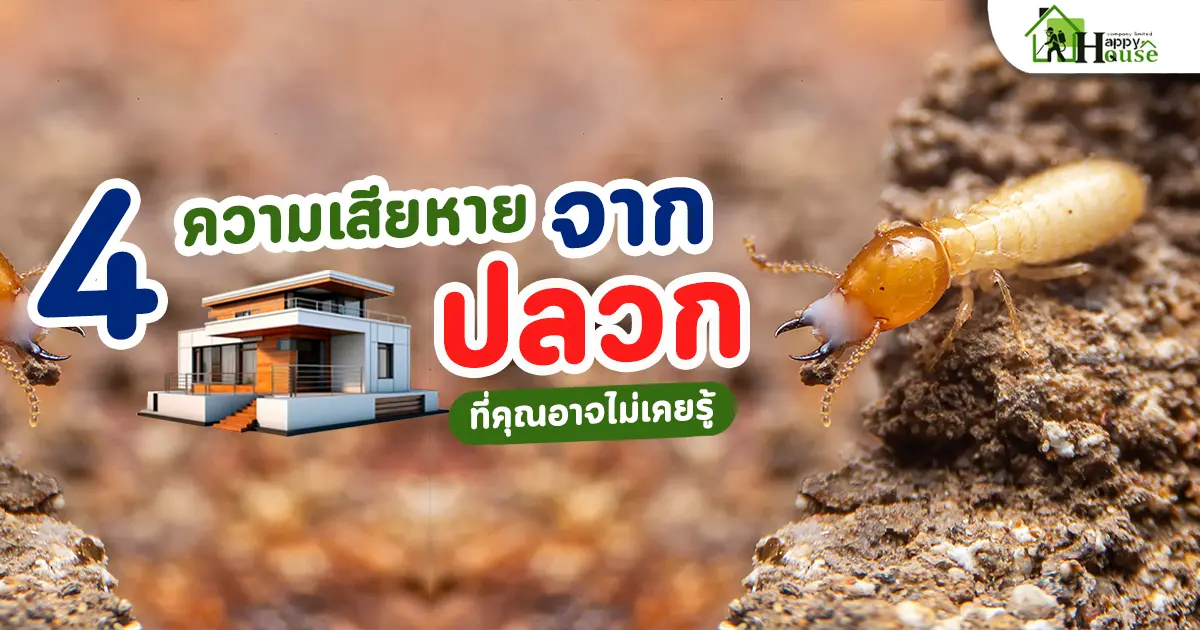 4 ความเสียหายจากปลวกที่คุณอาจไม่เคยรู้