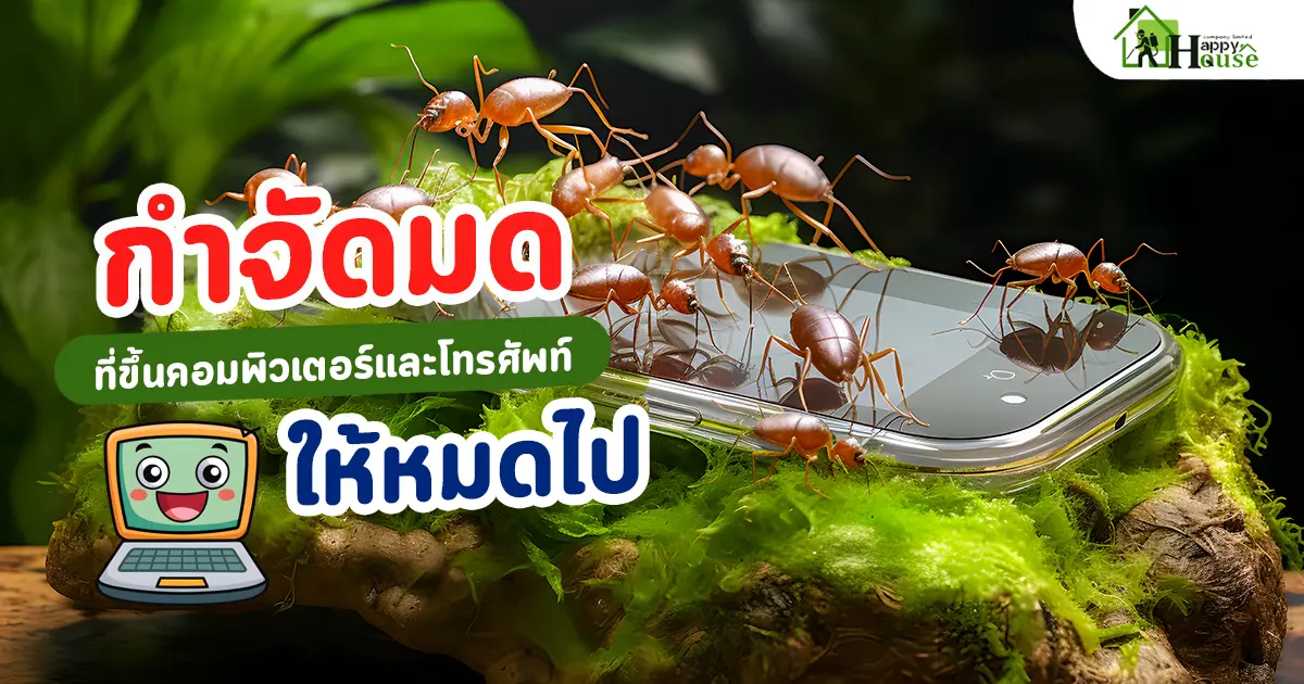 วิธีกำจัดมด ที่ขึ้นคอมพิวเตอร์และโทรศัพท์ให้หมดไป