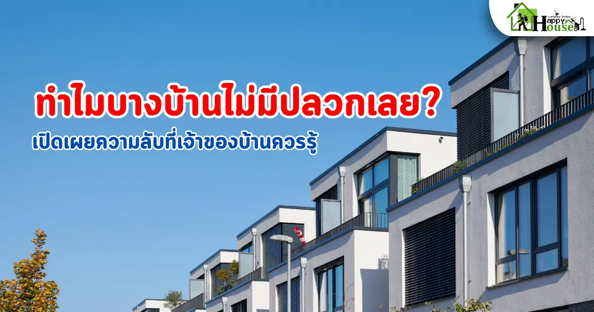 ทำไมบางบ้านไม่มีปลวกเลย? เปิดเผยความลับที่เจ้าของบ้านควรรู้