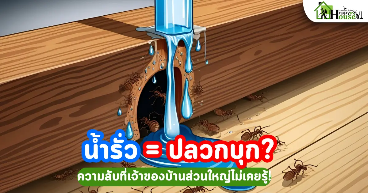น้ำรั่ว = ปลวกบุก? ความลับที่เจ้าของบ้านส่วนใหญ่ไม่เคยรู้! | กำจัดปลวกก่อนสาย น้ำรั่ว = ปลวกบุก? ความลับที่เจ้าของบ้านส่วนใหญ่ไม่เคยรู้! | กำจัดปลวกก่อนสาย