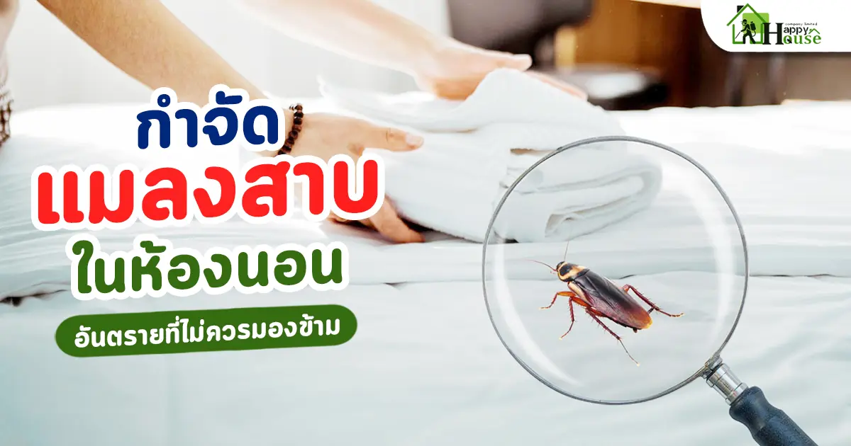 กำจัดแมลงสาบในห้องนอนอันตรายที่ไม่ควรมองข้าม