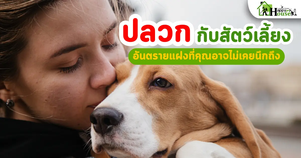 ปลวกกับสัตว์เลี้ยง – อันตรายแฝงที่คุณอาจไม่เคยนึกถึง เผยวิธีกำจัดปลวกอย่างปลอดภัย