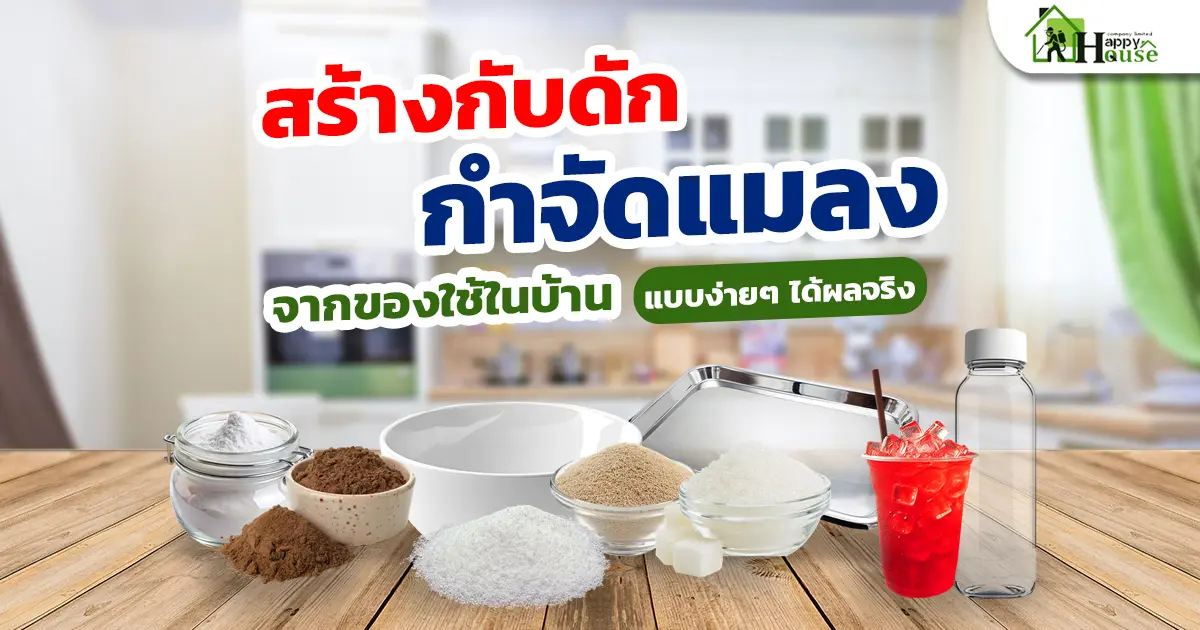 สร้างกับดักกำจัดแมลงจากของใช้ในบ้าน แบบง่ายๆ ได้ผลจริง สร้างกับดักกำจัดแมลงจากของใช้ในบ้าน แบบง่ายๆ ได้ผลจริง