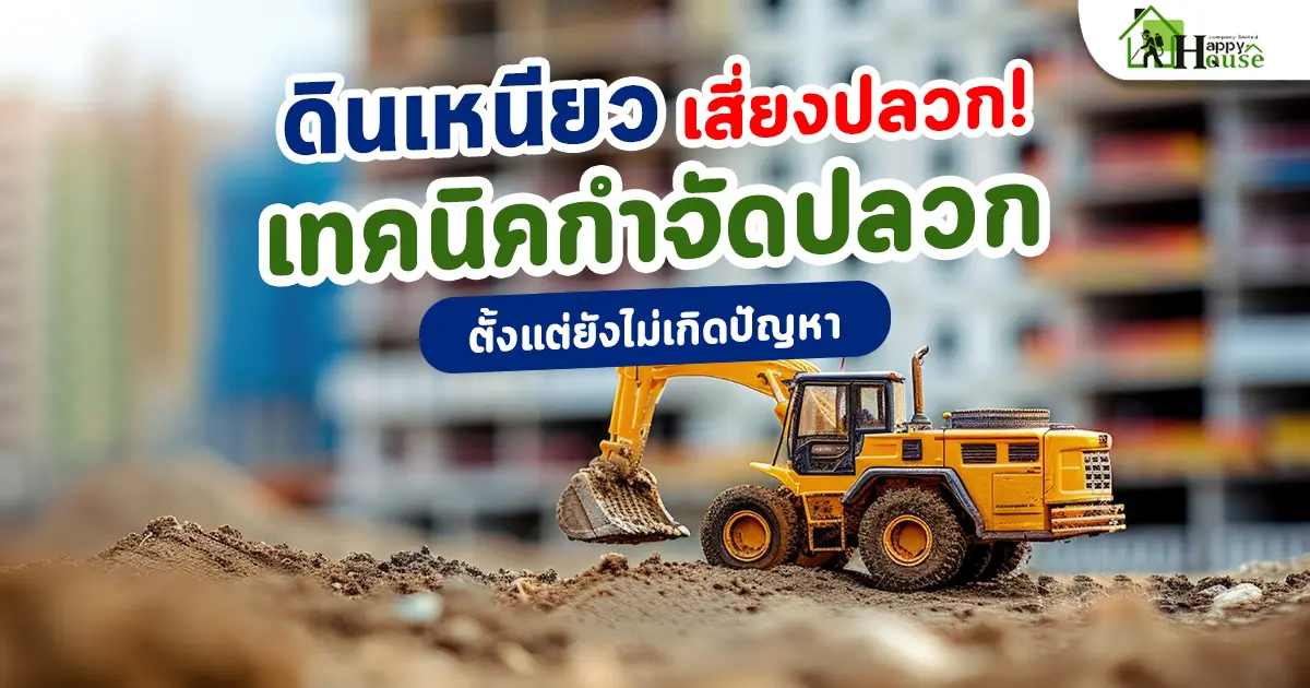 ดินเหนียวเสี่ยงปลวก! เทคนิคกำจัดปลวกตั้งแต่ยังไม่เกิดปัญหา