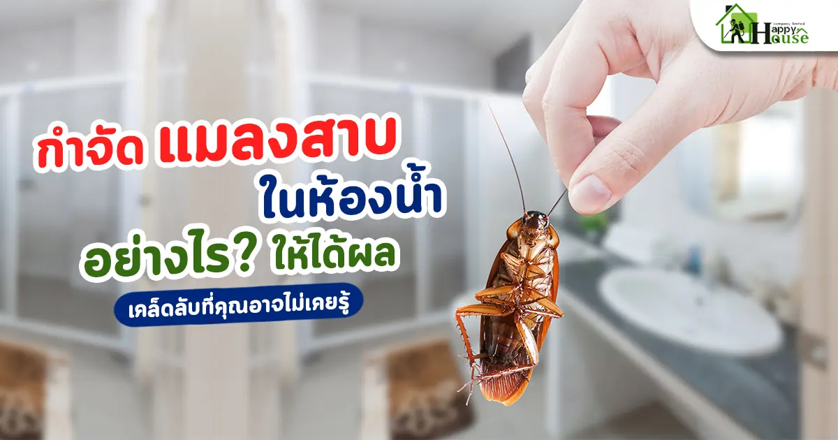 กำจัดแมลงสาบในห้องน้ำอย่างไรให้ได้ผล? เคล็ดลับที่คุณอาจไม่เคยรู้ กำจัดแมลงสาบในห้องน้ำอย่างไรให้ได้ผล? เคล็ดลับที่คุณอาจไม่เคยรู้