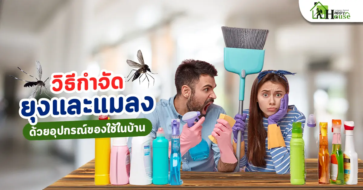 วิธีกำจัดยุงและแมลงด้วยอุปกรณ์ของใช้ในบ้าน