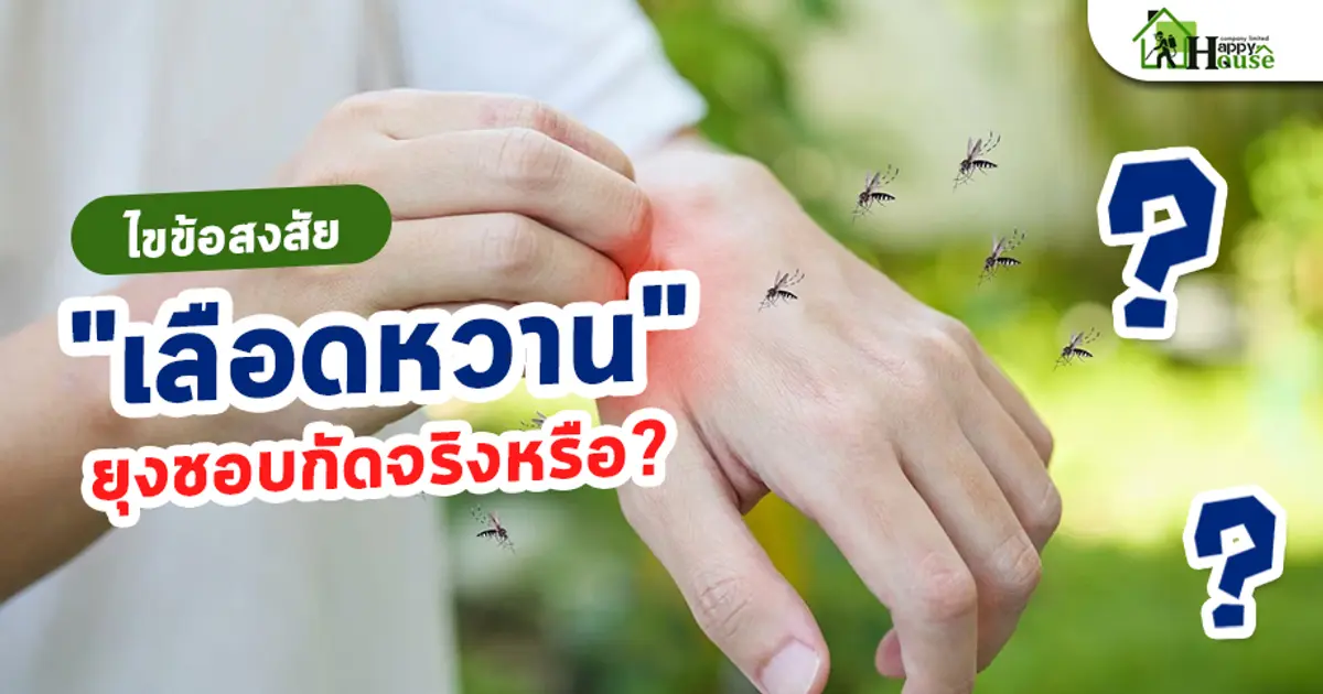 ไขข้อสงสัย "เลือดหวาน" ยุงชอบกัดจริงหรือ?