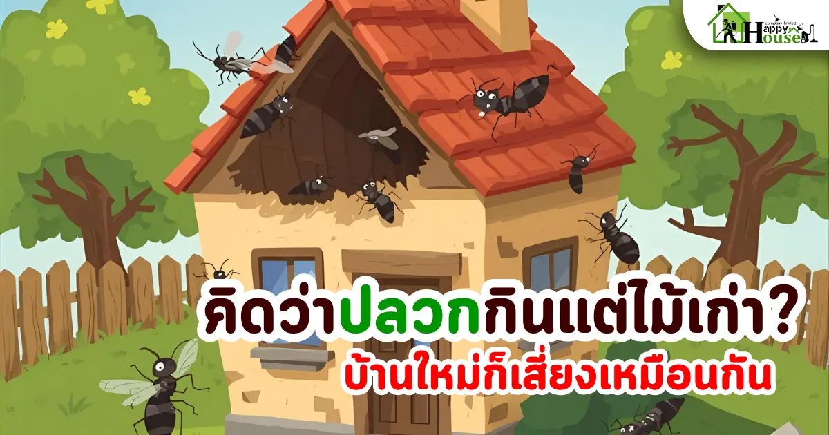 คิดว่าปลวกกินแต่ไม้เก่า? บ้านใหม่ก็เสี่ยงเหมือนกัน