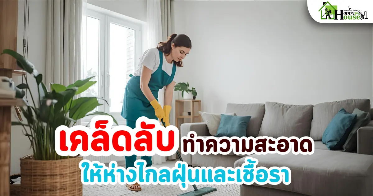 เคล็ดลับทำความสะอาดบ้านให้ห่างไกลฝุ่นและเชื้อรา | รับทำความสะอาดบ้านแบบมืออาชีพ