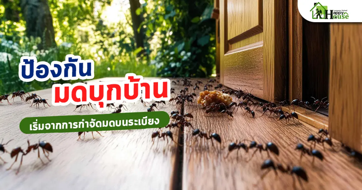 ป้องกันมดบุกบ้านเริ่มจากการกำจัดมดบนระเบียง ป้องกันมดบุกบ้านเริ่มจากการกำจัดมดบนระเบียง