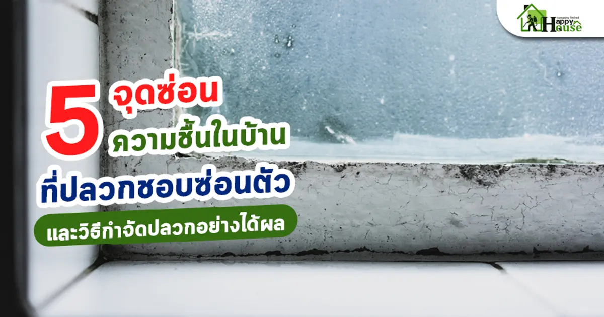 5 จุดซ่อนความชื้นในบ้านที่ปลวกชอบซ่อนตัว และวิธีกำจัดปลวกอย่างได้ผล