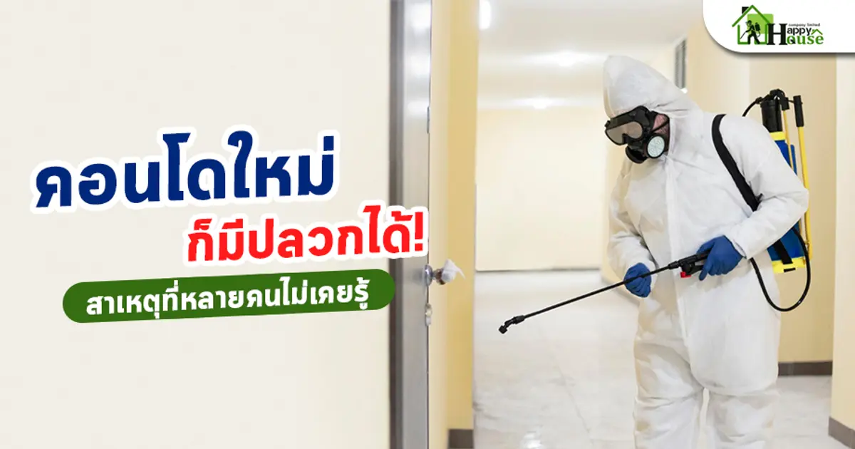 คอนโดใหม่ก็มีปลวกได้! สาเหตุที่หลายคนไม่เคยรู้