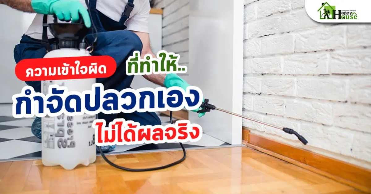 ความเข้าใจผิดที่ทำให้กำจัดปลวกเองไม่ได้ผลจริง