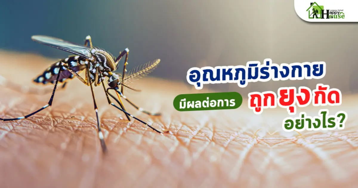 อุณหภูมิร่างกายมีผลต่อการถูกยุงกัดอย่างไร