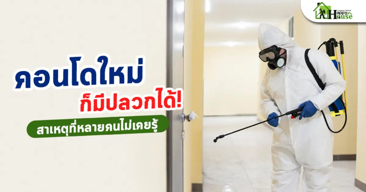 คอนโดใหม่ก็มีปลวกได้! สาเหตุที่หลายคนไม่เคยรู้