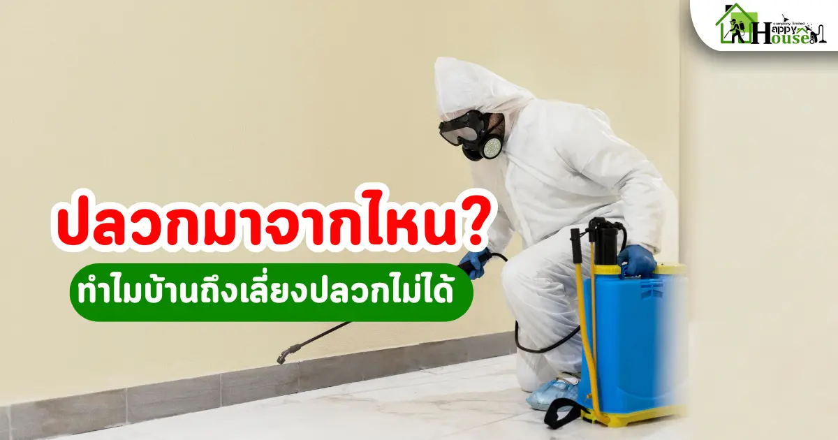 ปลวกมาจากไหน ทำไมบ้านถึงเลี่ยงปลวกไม่ได้ | กำจัดปลวก อย่างเข้าใจต้นตอ