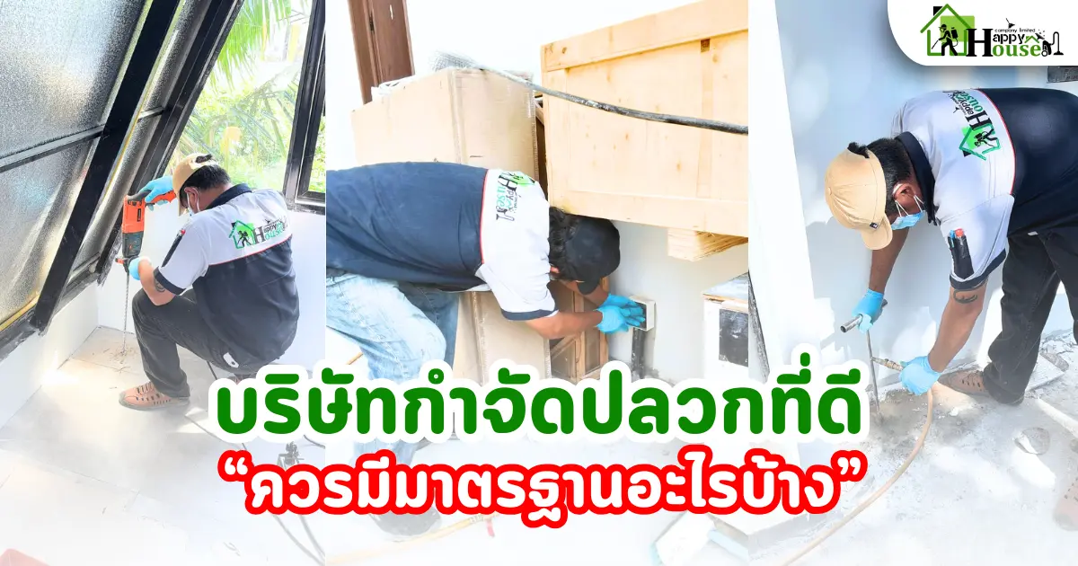 บริษัทกำจัดปลวกที่ดี ควรมีมาตรฐานอะไรบ้าง | กำจัดปลวกเชียงใหม่