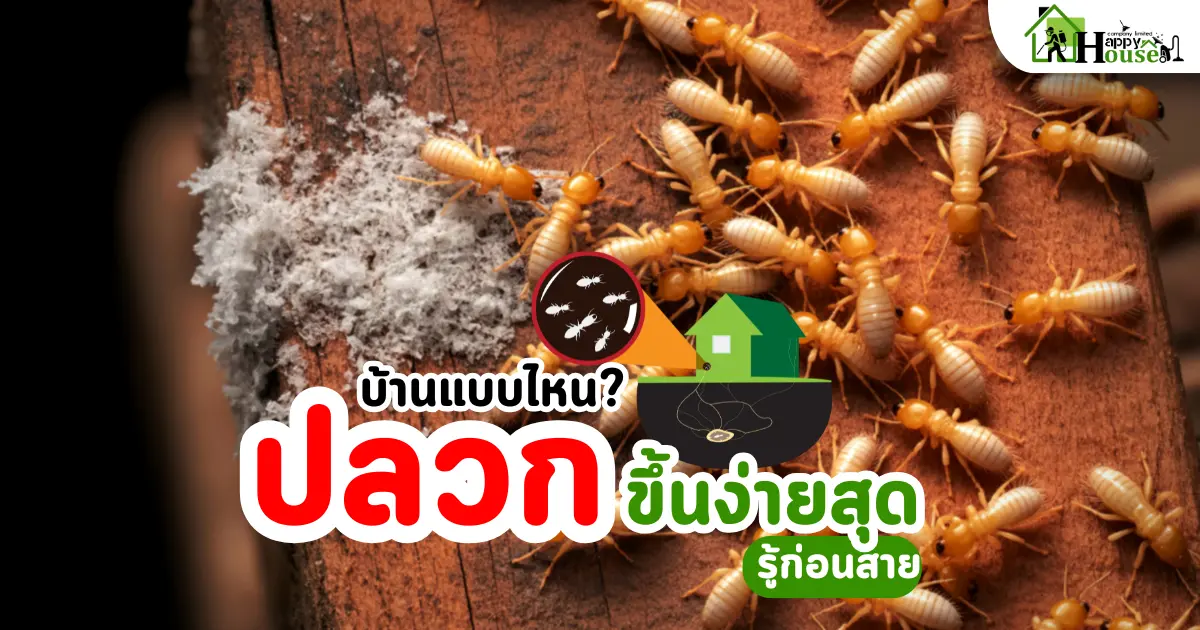 บ้านแบบไหนปลวกขึ้นง่ายมากที่สุด รู้ก่อนสาย | กำจัดปลวก