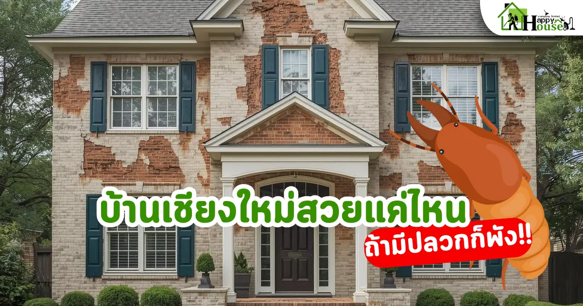 กำจัดปลวกเชียงใหม่  บ้านเชียงใหม่สวยแค่ไหน ถ้ามีปลวกก็พังได้