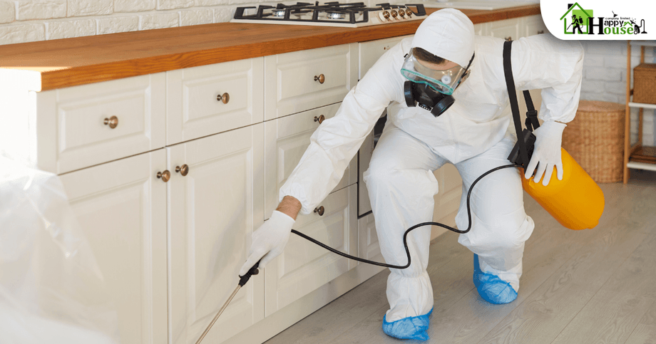 กำจัดปลวก