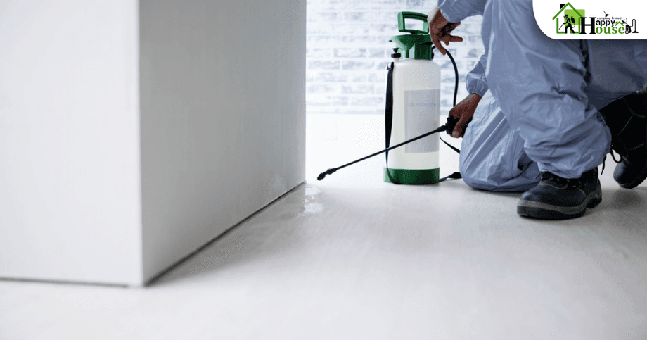 กำจัดปลวก