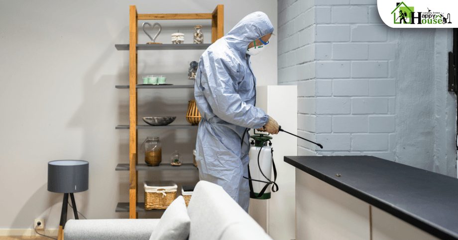 กำจัดปลวก