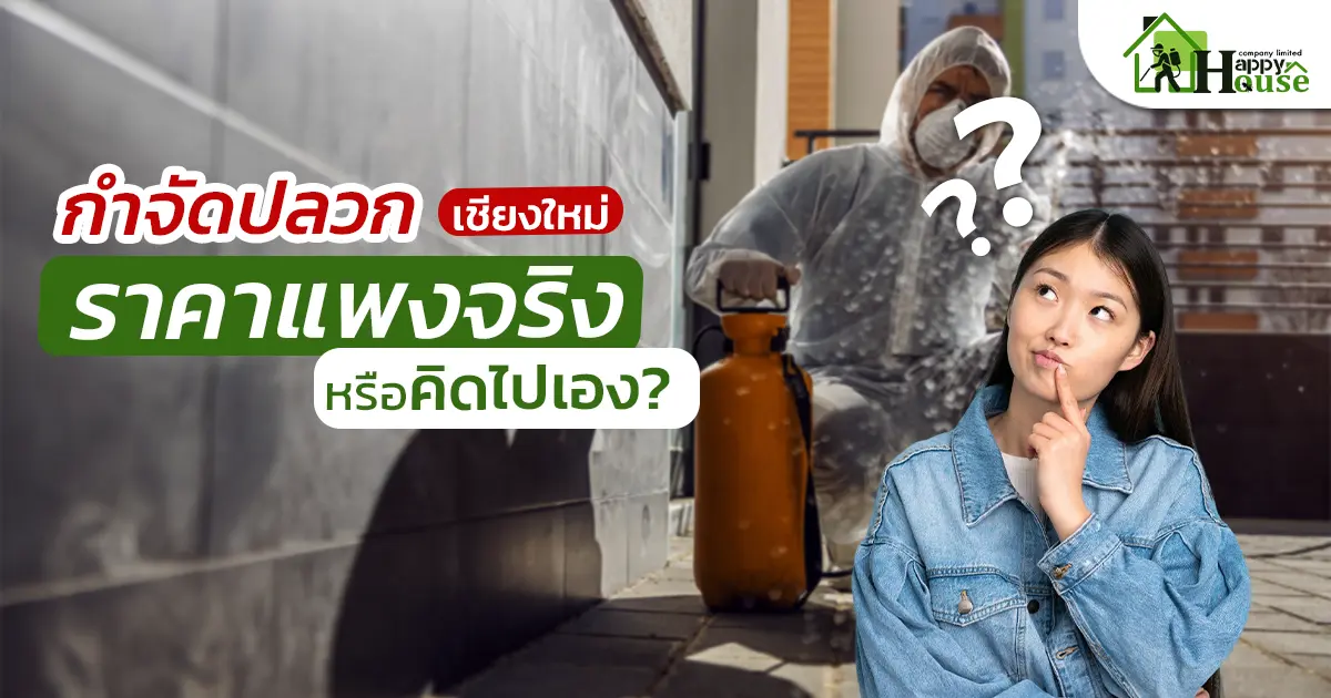 กำจัดปลวกเชียงใหม่ ราคาแพงจริงหรือคิดไปเอง เลือกให้คุ้มก่อนปลวกทำบ้านพัง | Happy House