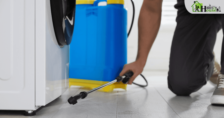 กำจัดปลวกเชียงใหม่