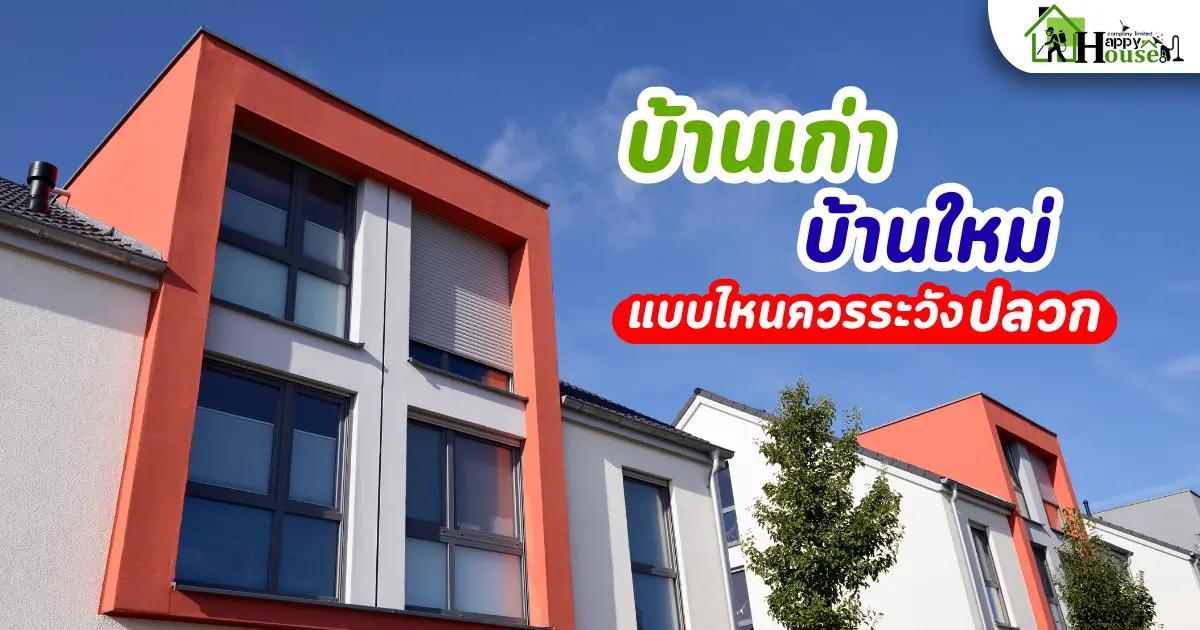 กำจัดปลวกเชียงใหม่