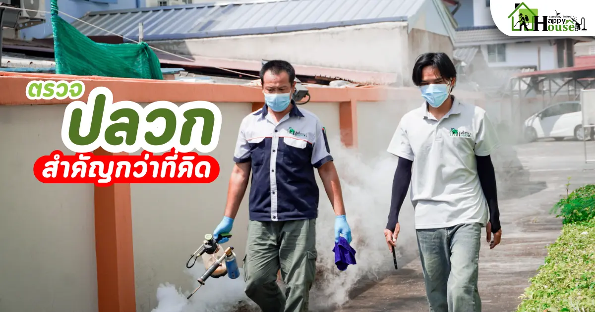 การตรวจปลวกประจำปี สำคัญกว่าที่คิด | กำจัดปลวกเชียงใหม่