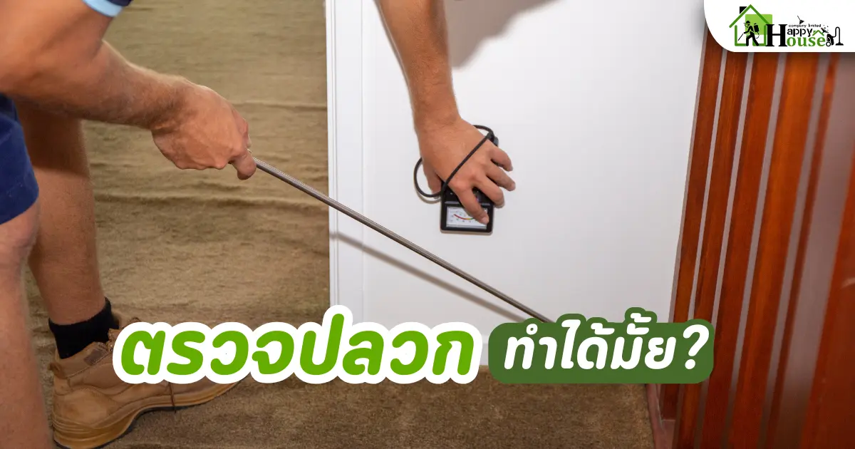 ตรวจปลวกเองได้ไหม | กำจัดปลวกเชียงใหม่