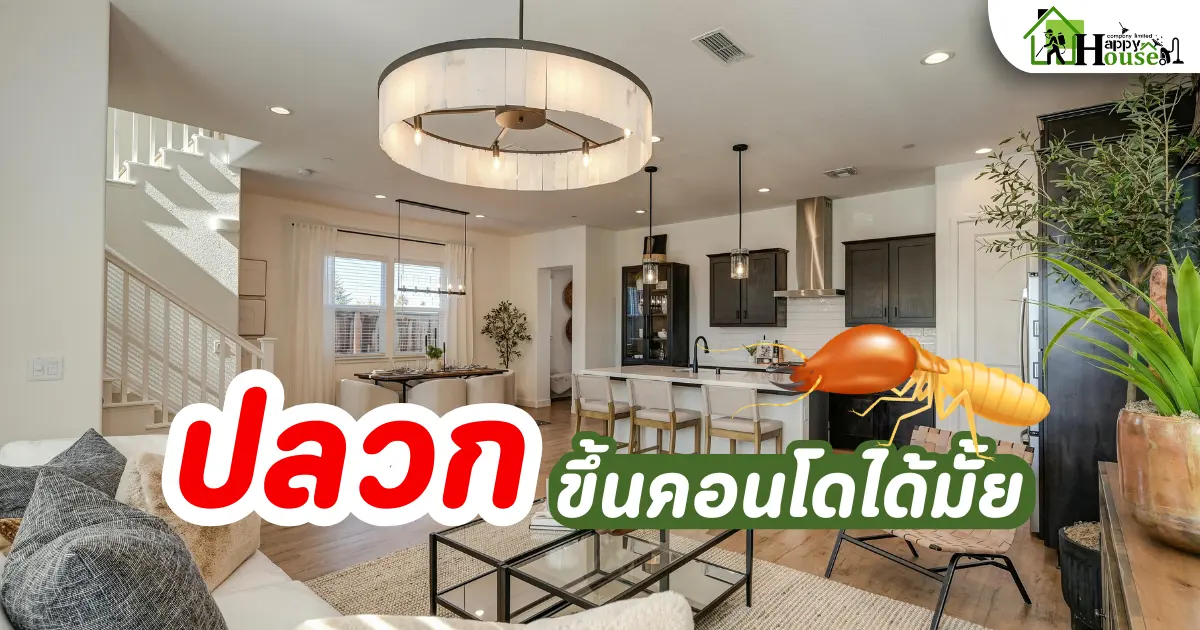 ปลวกขึ้นคอนโดได้ไหม
