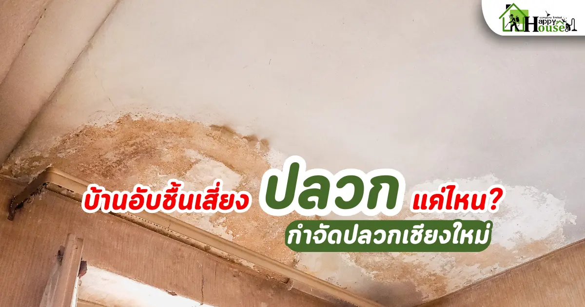 บ้านอับชื้นเสี่ยงปลวกแค่ไหน