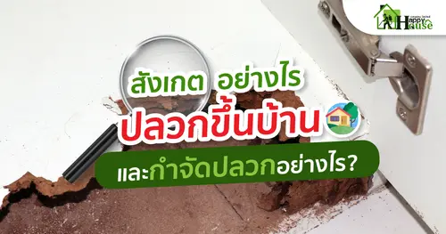 สังเกตอย่างไร ว่าปลวกขึ้นบ้าน และกำจัดปลวกอย่างไร