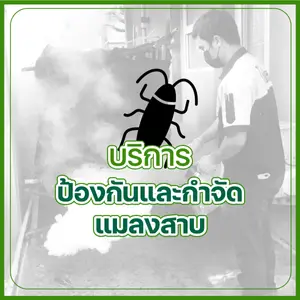 บริการป้องกันและกำจัดแมลงสาบ